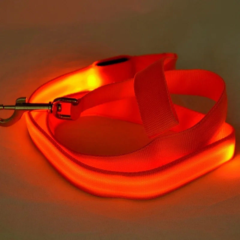 Wuffielove – LED-Nylon-Hundeleine 🌟