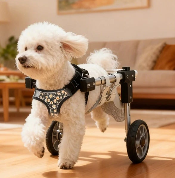 Wuffielove „Freedom-Racer“