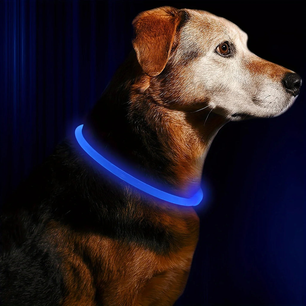 Nylon-Hundehalsband 🐾