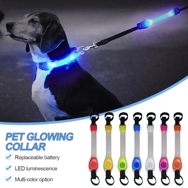 Sicherheits-LED-Glowing-Halsband