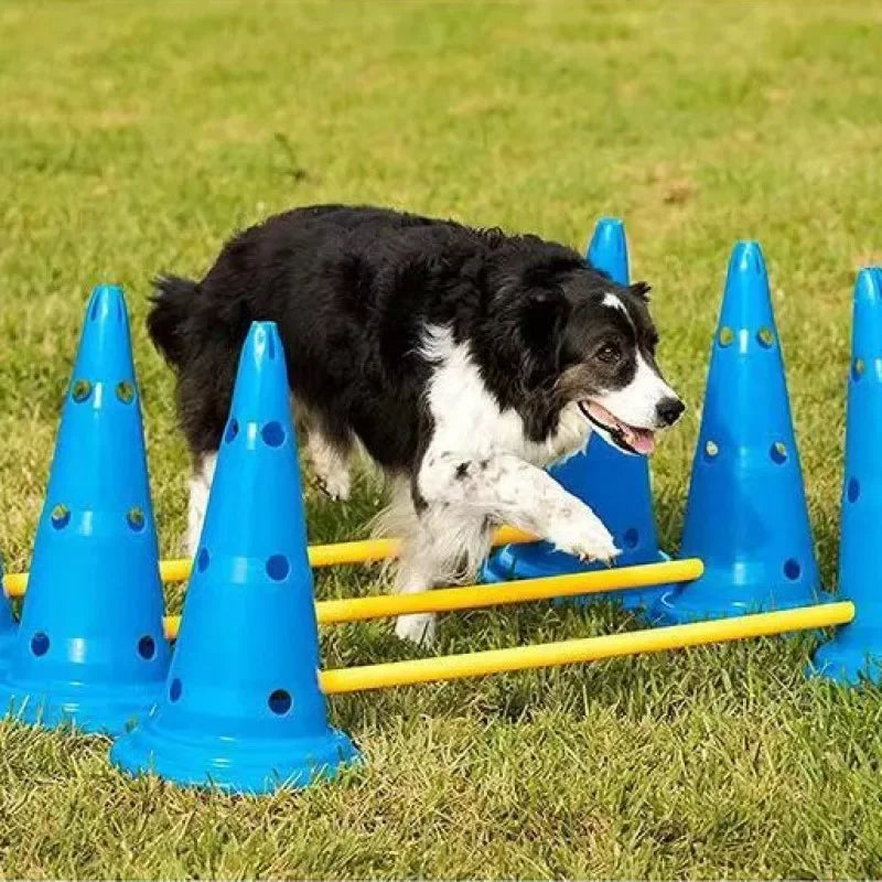 Wuffielove „Solo-Hürde“