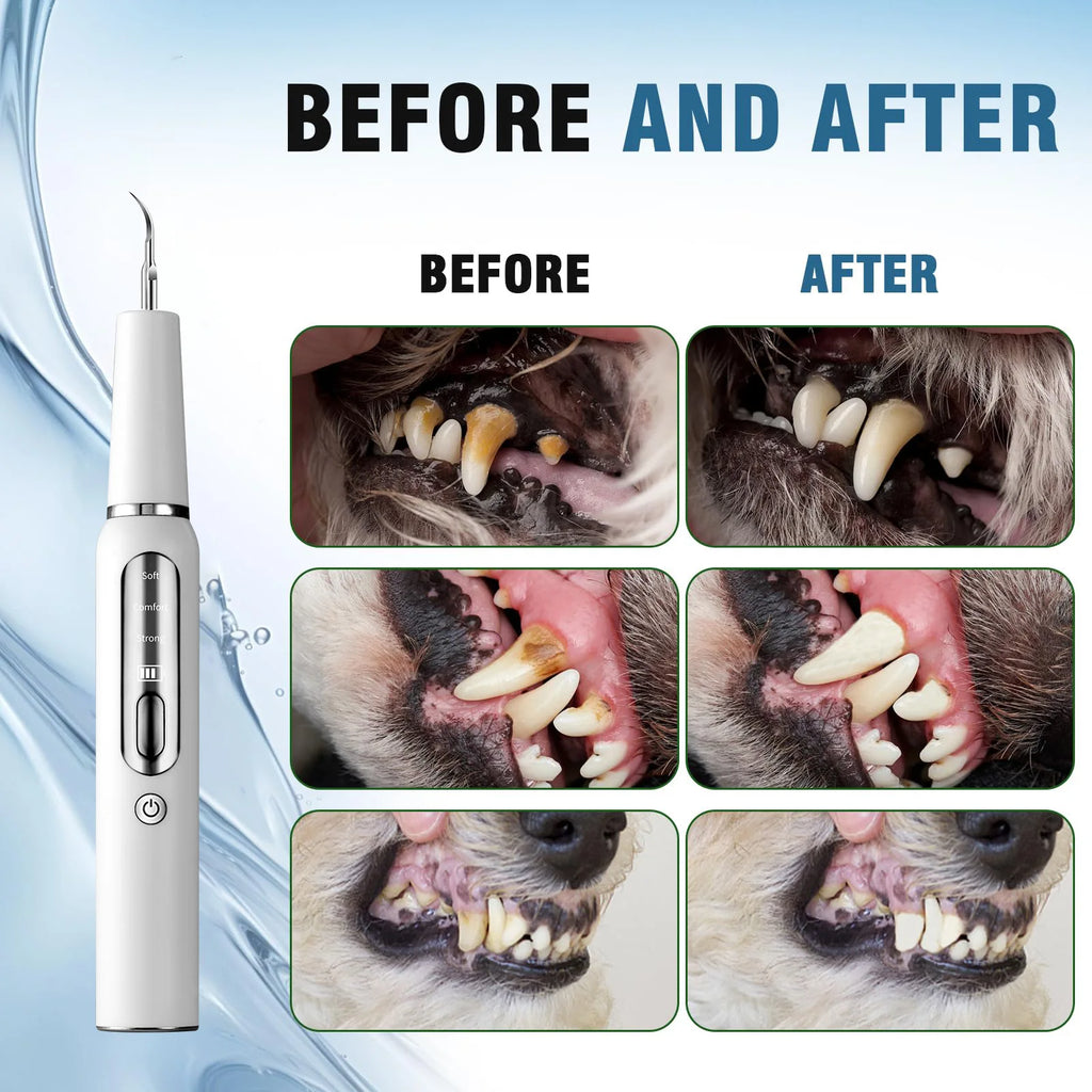 Wuffielove „Dentalschutz“