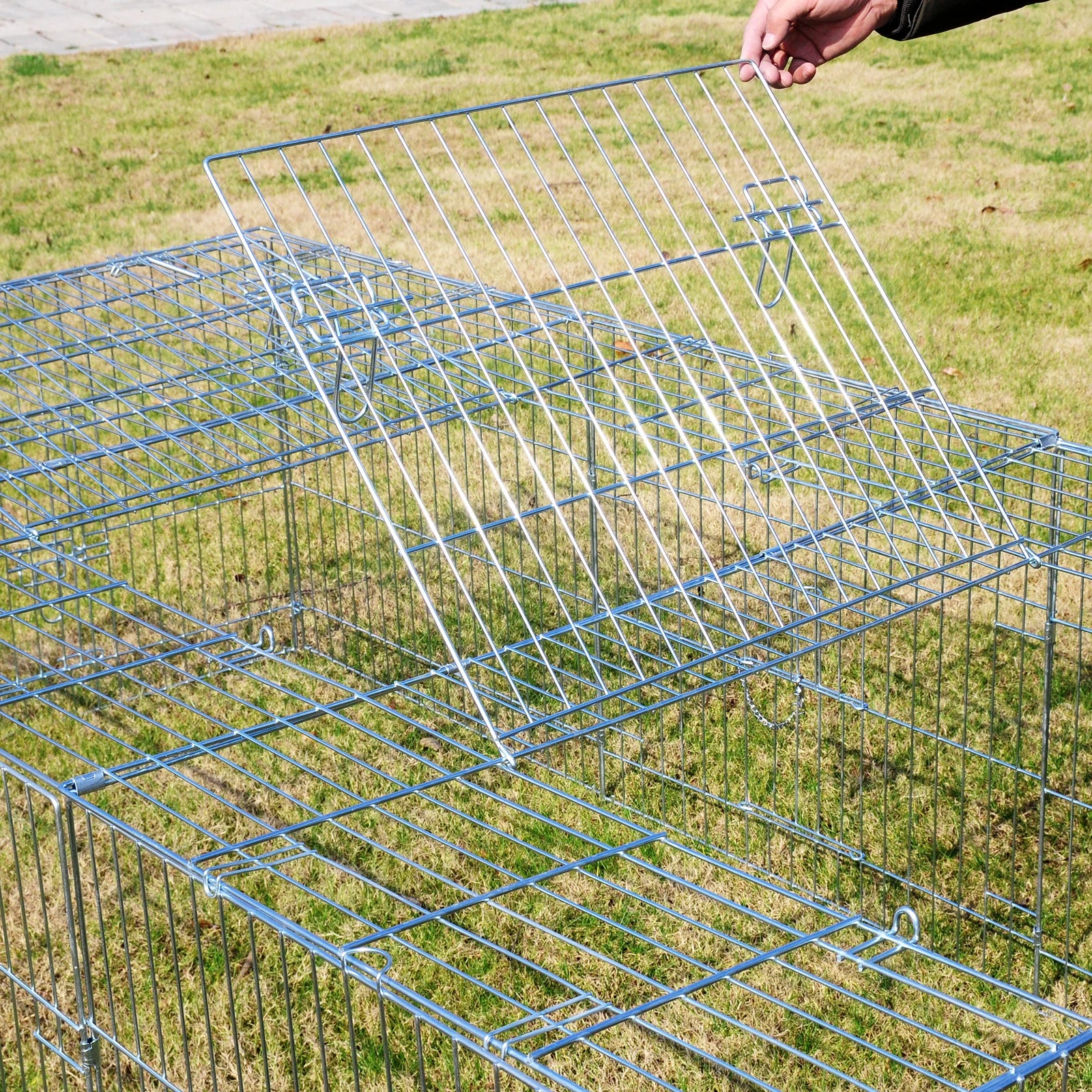 Wuffielove „Eco-Run“